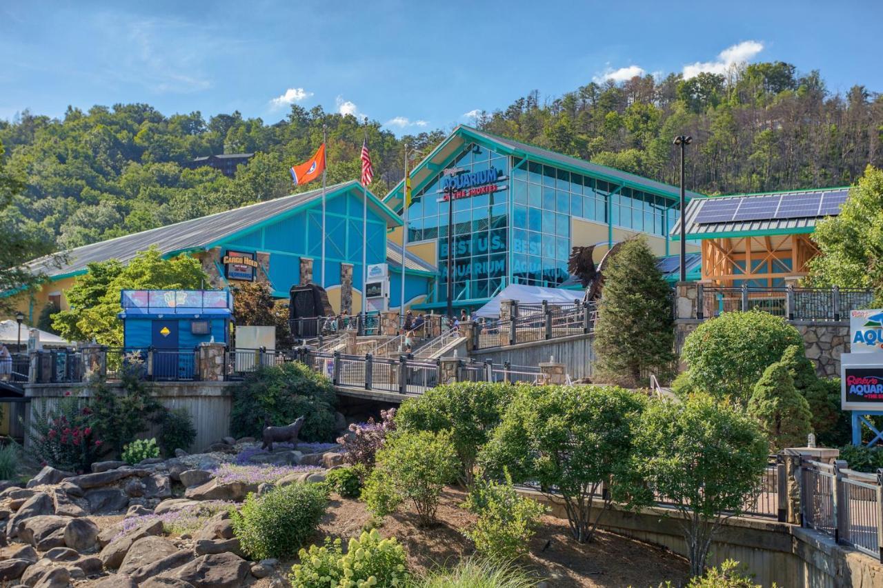 5Bd5B Escape Cabin With 2 Hottubs, Thtr &Game Rm,1Mi To The Parkway! 4Mi To Dollywood - Spring Deal Піджен-Фордж Екстер'єр фото